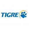 tigre